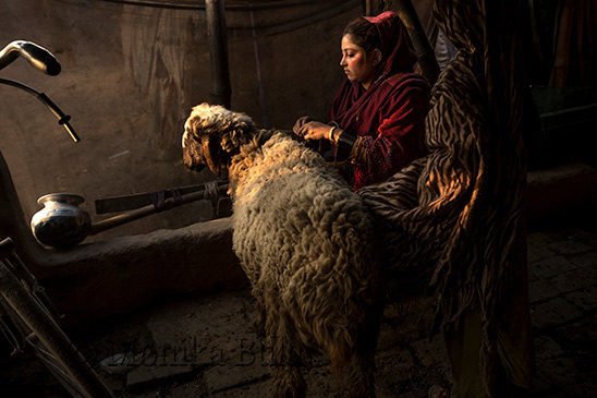 Mostra Broken Songlines di Monika Bulaj, Monika Bulaj: Broken Songlines al Festival Isole che Parlano