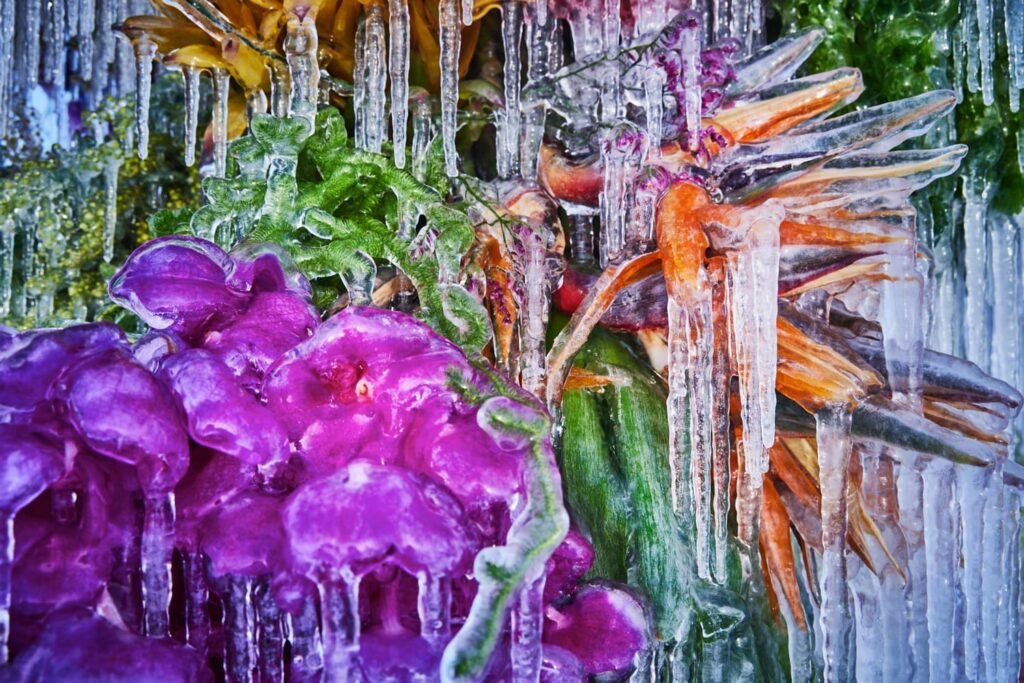 Sculture botaniche congelate a Hokkaido, #Le sculture temporanee di Azuma Makoto centinaia di fiori multicolore congelati su un lago innevato