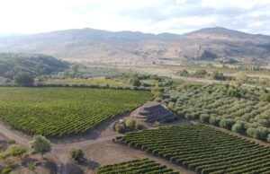 Etna: tra teatro e poesia, Al-Cantàra presenta i due vini da collezione 2022