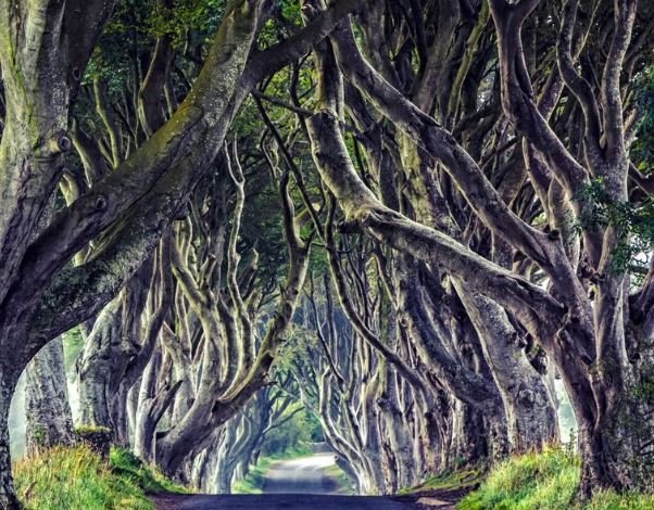 Game of Thrones Studio Tou, #Apre il Game of Thrones Studio Tour