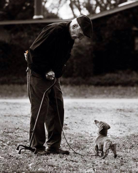 , #Cani e anziani abbandonati in estate, arriva la campagna di sensibilizzazione a loro dedicata