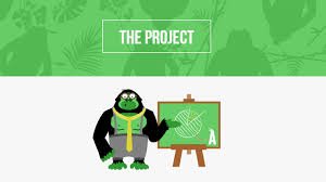 Yougreen, #YouGreen: il social green