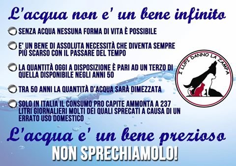 #Acqua, bene scarso e prezioso