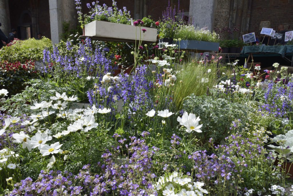 , #Flora et Decora edizione autunnale