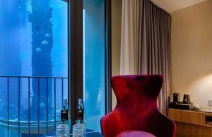 Esplode acquario in hotel di Berlino, allagando la hall e uccidendo 1500 pesci tropicali