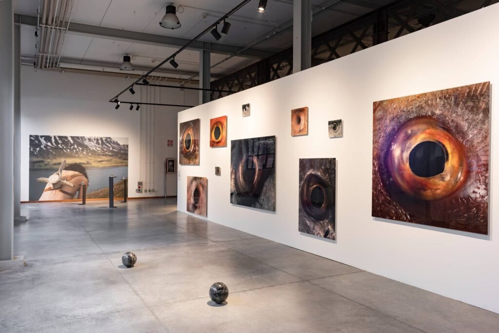 mostra arte contemporanea Milano antropocentrismo animali, Quando l’arte abbandona il piedistallo umano