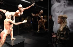 #Viaggio nell’anatomia umana in partenza da Milano Centrale