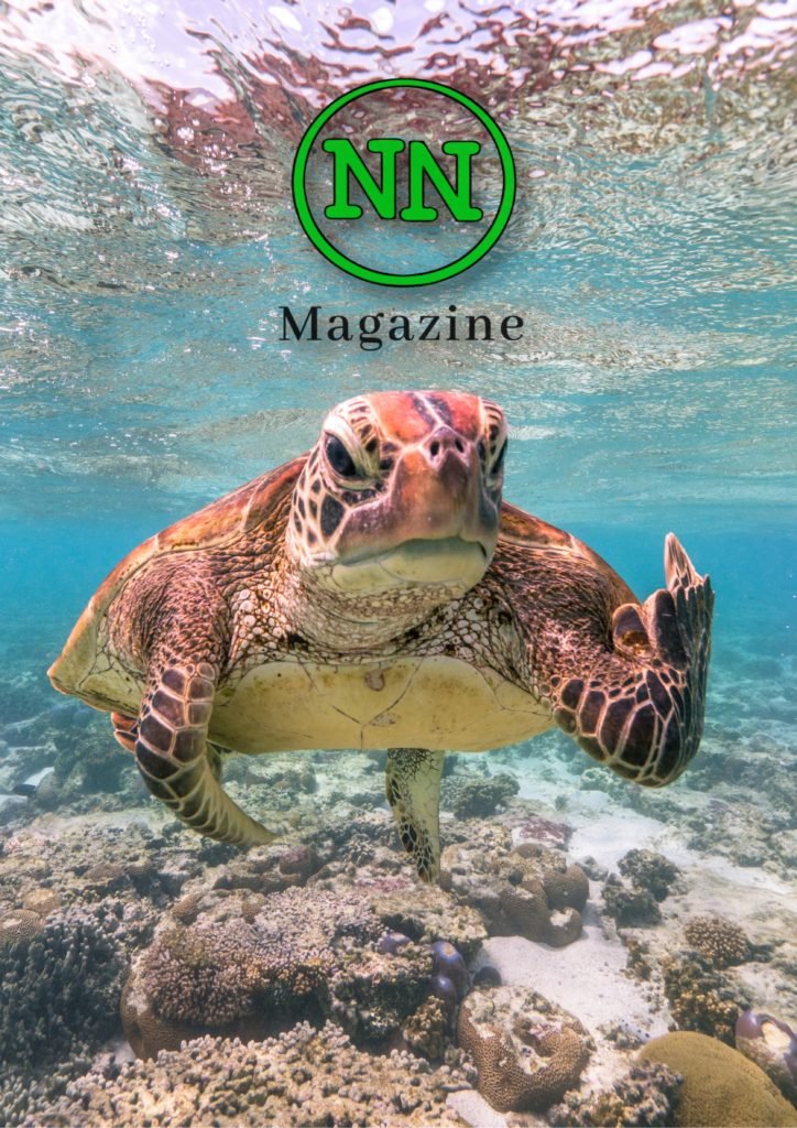 No#News Magazine numero 19, No#News Magazine &#8211; anno II &#8211; numero XIX