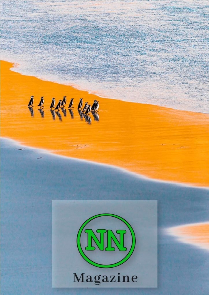 No#News Magazine n.2/2022, No#News Magazine &#8211; anno IV &#8211; numero II