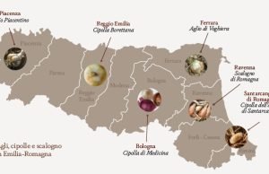 Agli, Cipolle e Scalogno dell’Emilia Romagna raccontati in 60 schede