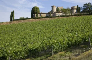 #Castello di Meleto presenta Camboi 2019, Malvasia Nera in purezza