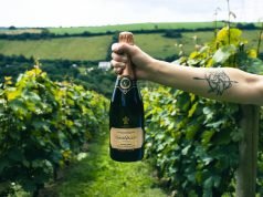 Un’esperienza frizzante tra i vigneti di champagne con Uber Bubbles