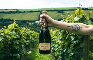 Un’esperienza frizzante tra i vigneti di champagne con Uber Bubbles