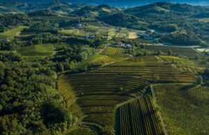 Borgo Conventi: dove la tradizione incontra l’innovazione nel Collio Goriziano