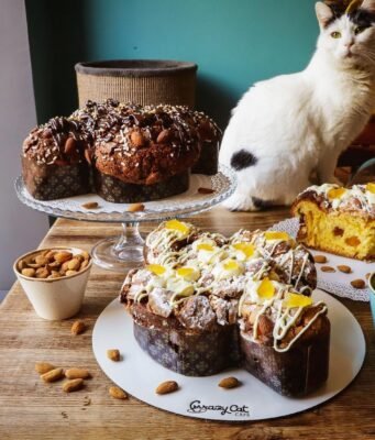 Crazy Cat Café