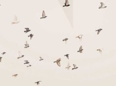 Lo scorre del tempo nelle vite degli abitanti di Hotl