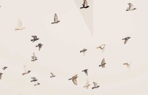 Lo scorre del tempo nelle vite degli abitanti di Hotl