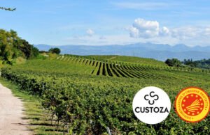 Il Lago di Garda da bere e da gustare