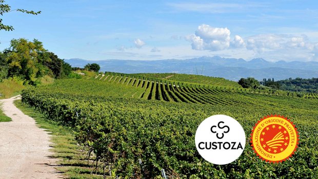 , Il Lago di Garda da bere e da gustare