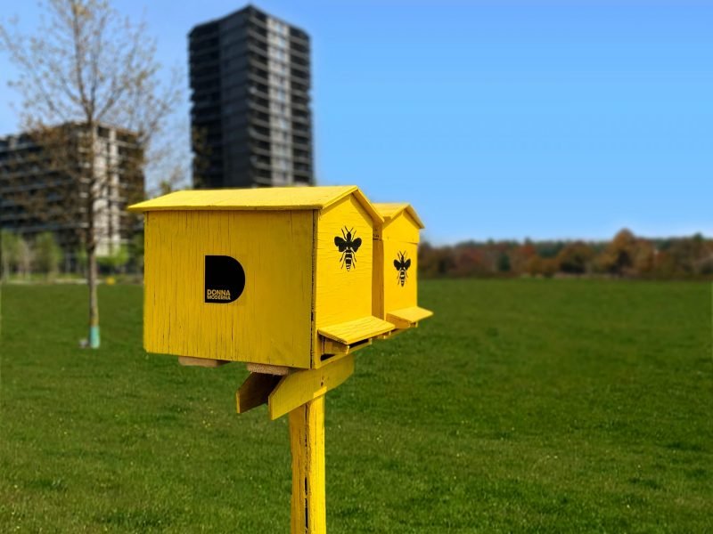 #Earth day: oltre 1 milione di api a Milano