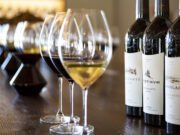 Viandante del Cielo, dove la collina si veste di eccellenza e passione Viandante del Cielo