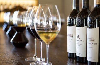 Viandante del Cielo, dove la collina si veste di eccellenza e passione Viandante del Cielo