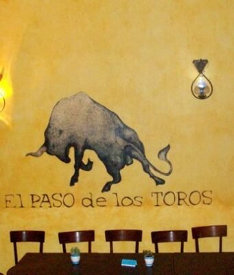 El Paso de los Toros