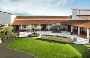 #Villa Matilde Avallone: viticultori in Campania dal 1965