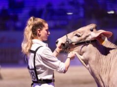 La New Pink Generation traina l’innovazione zootecnica