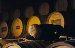 Cantina Bozen presenta Tal2021. Di casa nei territori più vocati KBZ