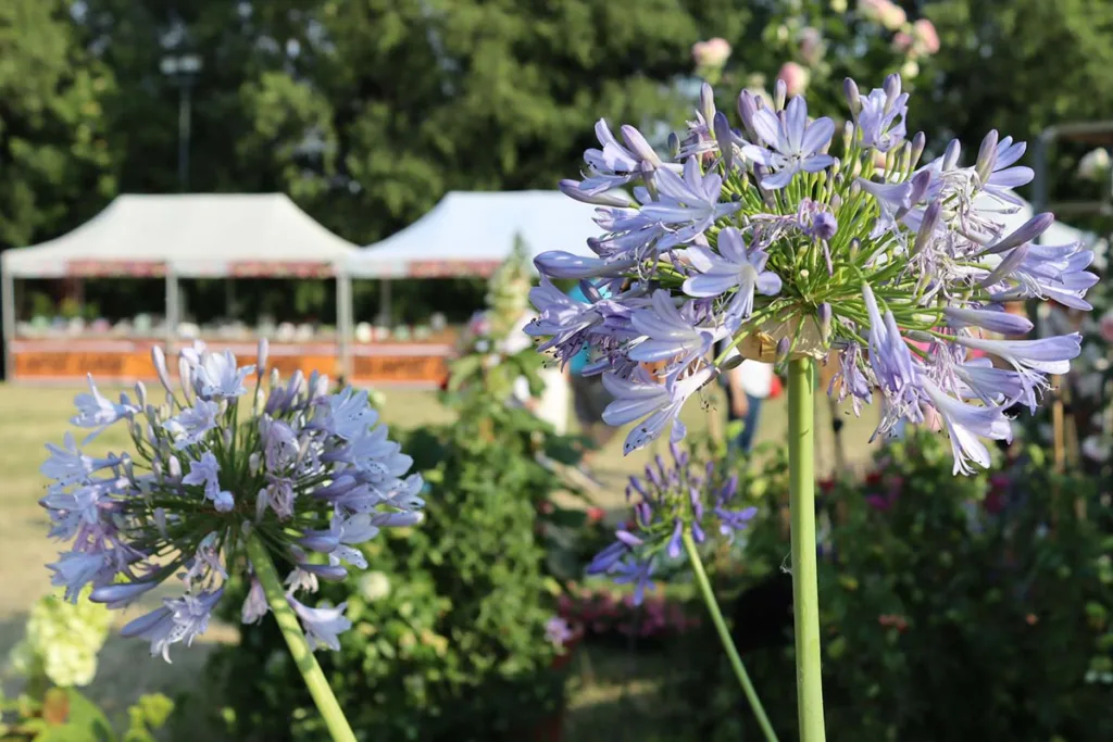 , #Franciacorta in fiore. Un weekend di primavera per riflettere sull’acqua che non c’è
