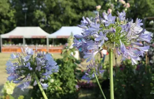#Franciacorta in fiore. Un weekend di primavera per riflettere sull’acqua che non c’è
