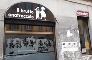 Il Brutto Anatroccolo