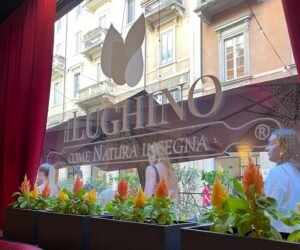 , il Lughino