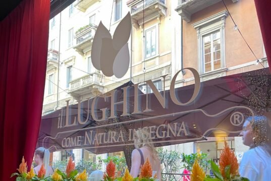 Il Lughino: gustosa cucina vegana e biologica a Brera No News la rivista dell'ozio e della serendipità, Ozio e serendipità