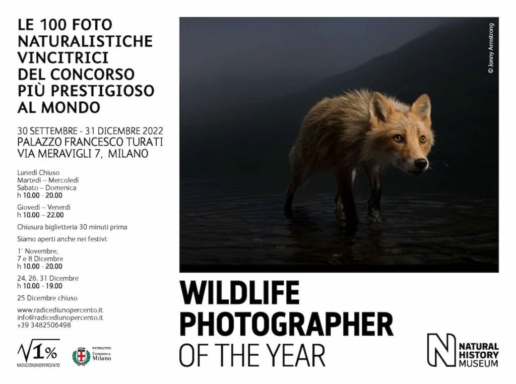 Wildlife Photographer of the Year 2021, Wildlife Photographer of the Year 2021 in mostra