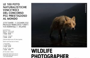 Wildlife Photographer of the Year 2021 in mostra