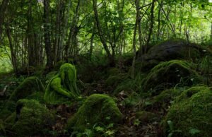 #Le accattivanti sculture “Moss People” si sentono a casa nella campagna finlandese