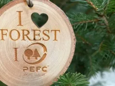 #Dal Friuli alla Campania, ecco le foreste più belle d’Italia