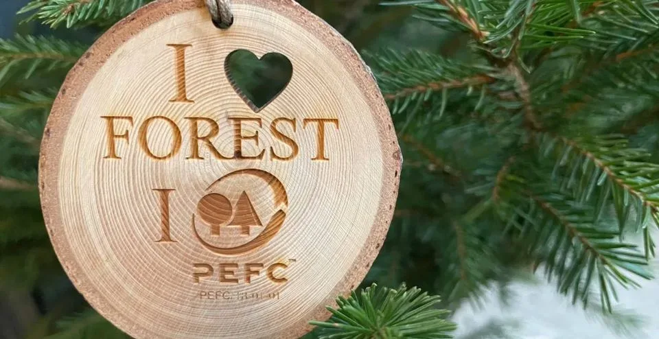 boschi italiani, #Dal Friuli alla Campania, ecco le foreste più belle d’Italia