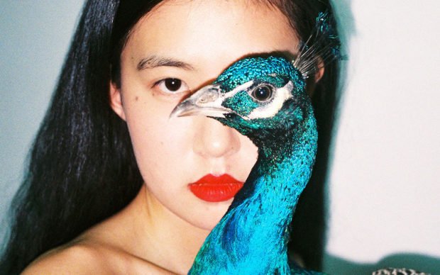 Peacock di Ren Hang, #Peacock di Ren Hang diventa un filtro Instagram