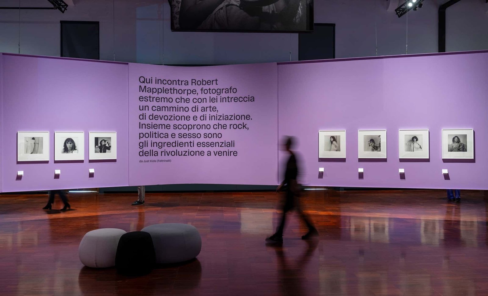 robert mapplethorpe le forme del classico a venezia