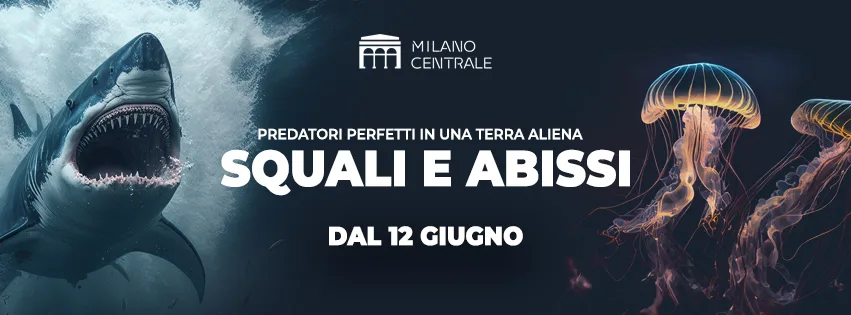Mostra Squali e abissi - predatori perfetti in una terra aliena a Milano Centrale, #Un tuffo tra i predatori degli abissi alla Stazione Centrale