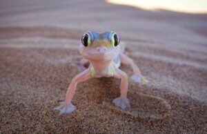 #13 curiose superstizioni da tutto il mondo