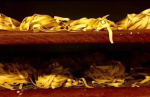 Trattoria Bolognese da Mauro