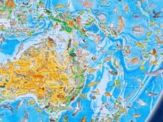 Wild World, la mappa a mano con 1.642 animali che ridisegna il pianeta senza confini