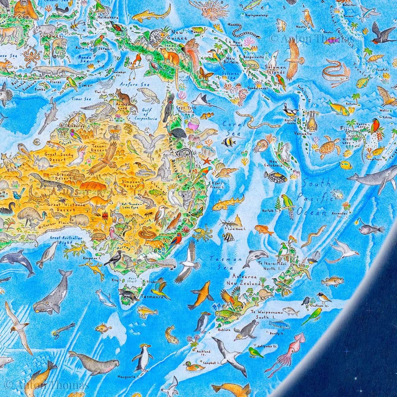 wild world la mappa a mano con 1642 animali che ridisegna il pianeta senza confini da Nonewsmagazine.com wild world la mappa a mano con 1642 animali che ridisegna il pianeta senza confini