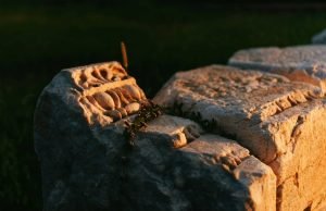L’antichissima moneta bizantina ritrovata in Norvegia