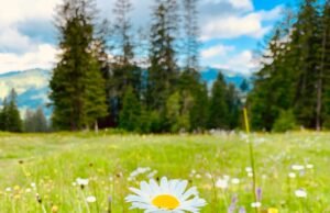 #Atmosfere senza tempo nella campagna milanese #Atmosfere senza tempo nella campagna milanese