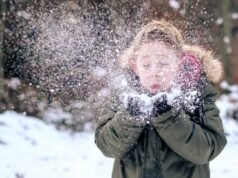 L’universo dei cristalli di neve: un miracolo invernale